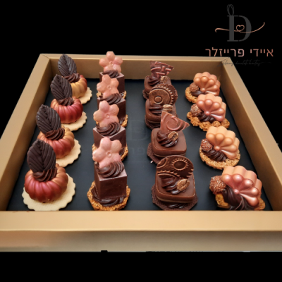 מארז אלט - 16 פטיפורים